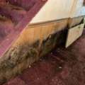 Protect Your Property With Expert Mold Restoration In Rochester, NY