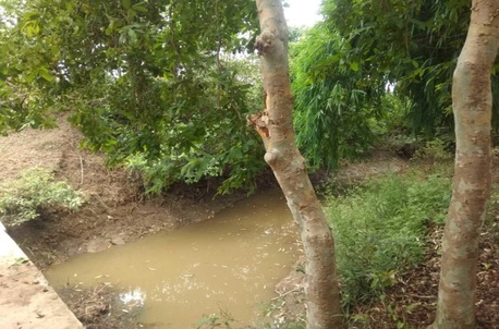 Bhopal, Businesses For Sale, Best Resort In Sagar | Picnic Spot In Sagar | Outing And Picnic Place Near Me | Patalganga