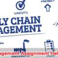 How Do I Choose The Right Supply Chain Management Assignment Help Service?