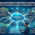 Looking For Top Salesforce Partner Companies