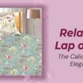 All You Need To Buy Calicut Collections Elegant Facelift To Relax In The Lap Of Luxury