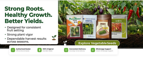 Mumbai, Farm & Garden, Buy Agricultural Seeds,Fertilizers,Pesticides Online India &ndash; Premium Farming Products