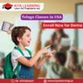 Telugu Classes In USA