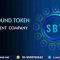 Turn Your Web3 Idea Into Reality With Soulbound Token Development &ndash; Save 30%