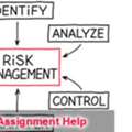 What Is The Best Risk Management Assignment Help In Australia?