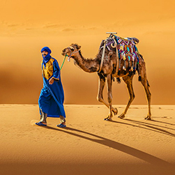 Kolkata, Travel, Dubai Tour Packages From Kolkata