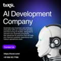 Intelligent Business Solutions From Advanced Custom AI Development Company
