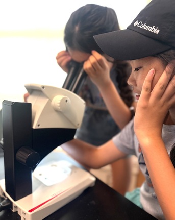 New York, Education, Private School In Englewood NJ &ndash; Pre-K To Middle School Admissions Open