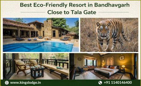 Bhopal, Travel, Best Eco-Friendly Resort In Bandhavgarh &ndash; Close To Tala Gate