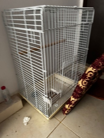 Riyadh, Pet Supplies, SAR 100,  Birds Cage