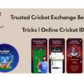 Who Is The God Of IPL? Check On Online Cricket ID Club Now