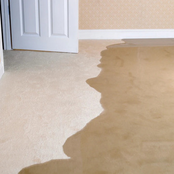 New York, Cleaning, Paul Davis Restoration Of Central Valley CA