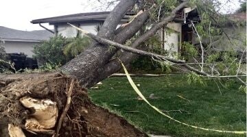 New York, Cleaning, Paul Davis Restoration Of Central Valley CA