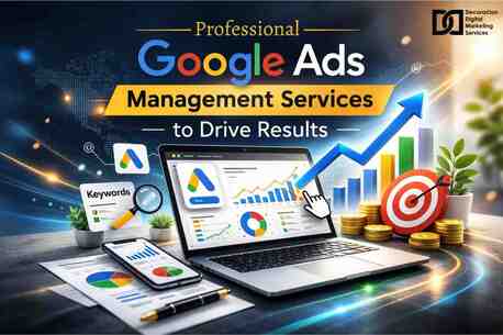 New Delhi, Web Design & Development, Google Ads Management Services By DDMS