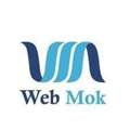 Best Digital Marketing Course In Dehradun At Webmok