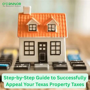 Houston, Real Estate, Step-by-Step Guide To Successfully Appeal Your Texas Property Taxes