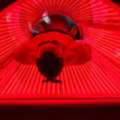 Infrared Sauna Red Light Therapy For Total Wellness
