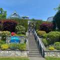 Comfortable And Affordable B&B In North Vancouver Near The Seabus