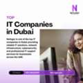 Top IT Companies In Dubai For Business IT Solutions And Technical Support Services