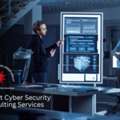 Cyber Security Consultant USA | Constellation Cyber Consultancy