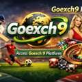 Goexchange9 &ndash; Trusted Online Betting & Casino Platform For Players Worldwide