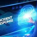 Cyber Incident Response Services | Constellation Cyber Consultancy