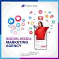 Social Media Marketing Agency