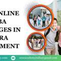 Top Online MBA Colleges In Agra Placement