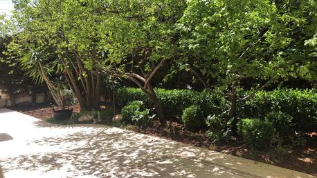 Amman, Apartments/Houses, JOD 35000/year,  Furnished,  3 BR,  300 Sq. Meter,  Ground Floor Apartment For Rent In Jabal Amman