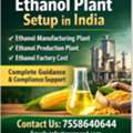 Ethanol Plant Setup In India | Cost & Licensing Support