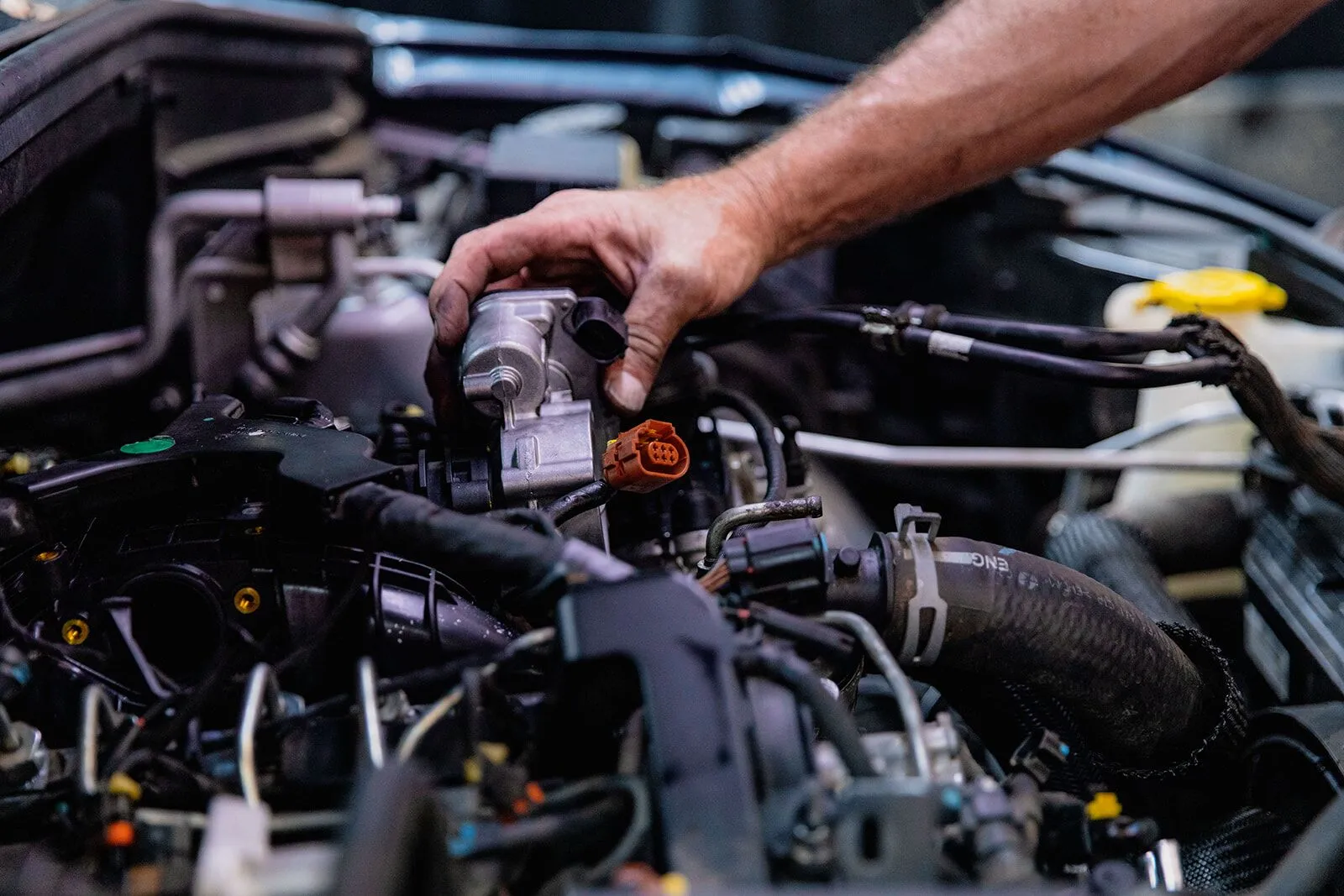 Sydney, Automotive, Top Rated Mechanics In Shellharbour | Trusted Car Service Experts