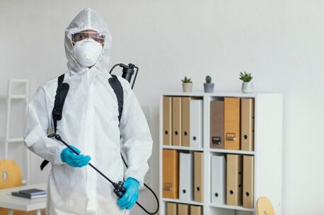 London, Pest Control, Get Rid Of Pests Fast &ndash; Best Pest Control Services In London By AlanCo Services