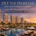 INR 650000000,  4 BR,  DLF The Dahlias Golf Course Road Gurgaon Luxury Apartments