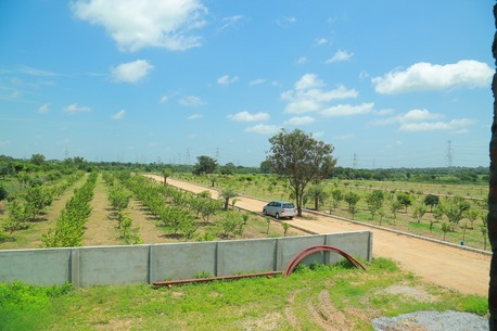 Hyderabad, Agricultural Land, INR 9075000,  605 Sq. Yard,  Oryza Farmlands