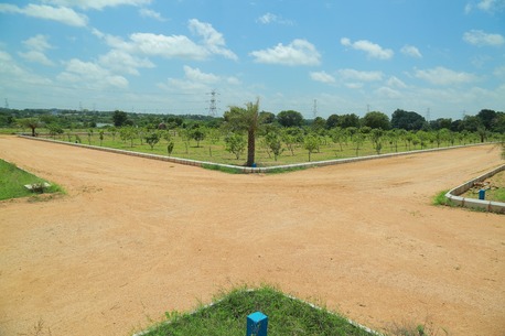 Hyderabad, Agricultural Land, INR 9075000,  605 Sq. Yard,  Oryza Farmlands