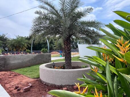 Hyderabad, Agricultural Land, INR 9075000,  605 Sq. Yard,  Oryza Farmlands