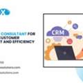 Salesforce Consultant For Enhanced Customer Engagement And Efficiency