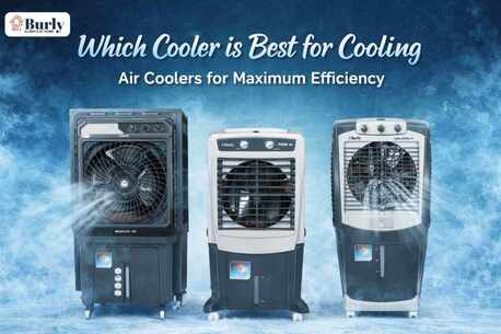 Haryana, Electronics, Which Cooler Is Best For Cooling? Choose Burly Air Coolers