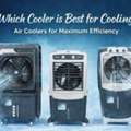Which Cooler Is Best For Cooling? Choose Burly Air Coolers