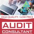 Audit Consult
