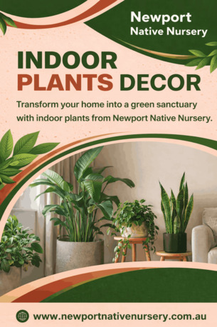 Sydney, Farm/Garden, Indoor Plants Decor -Newport Native Nursery