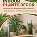 Indoor Plants Decor -Newport Native Nursery