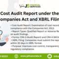 Cost Audit Report Under The Companies Act And XBRL Filing