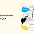 Top Salesforce Development Companies In The USA
