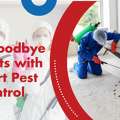 Professional Pest Control Thomastown For A Pest-Free Property
