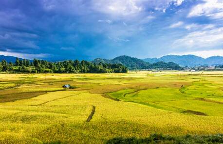 Kolkata, Travel, Arunachal Pradesh Tour Package From Bangalore