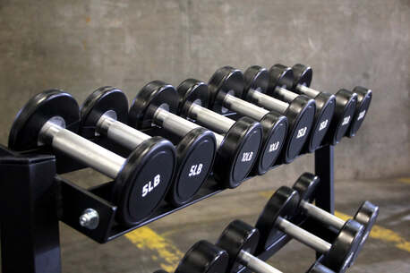 New York, Business, Upgrade Your Fitness Routine With A Weight And Dumbbell Set This Spring Season