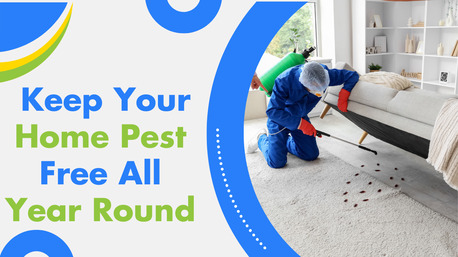 Melbourne, Household, Pest Control Sandringham &ndash; Effective Pest Treatment You Can Trust
