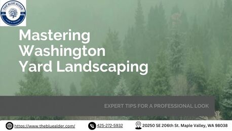New York, Farm/Garden, Backyard Landscaping WA