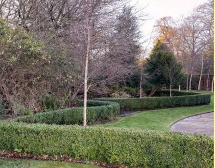 London, Business, Quality Garden Clearance Services UK